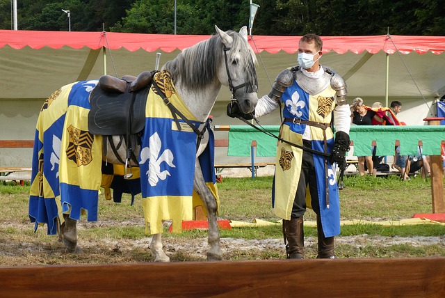 来自亚洲的 来自亚洲的