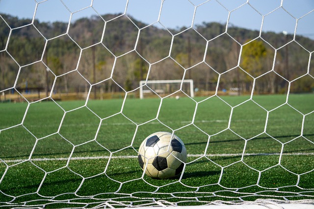 新援后卫终 新援后卫终