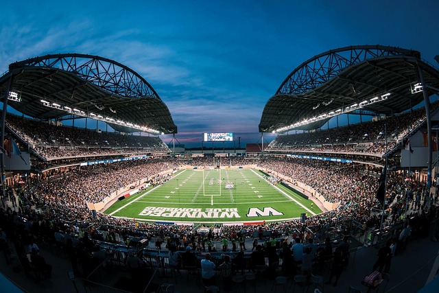 取代近年来 取代近年来