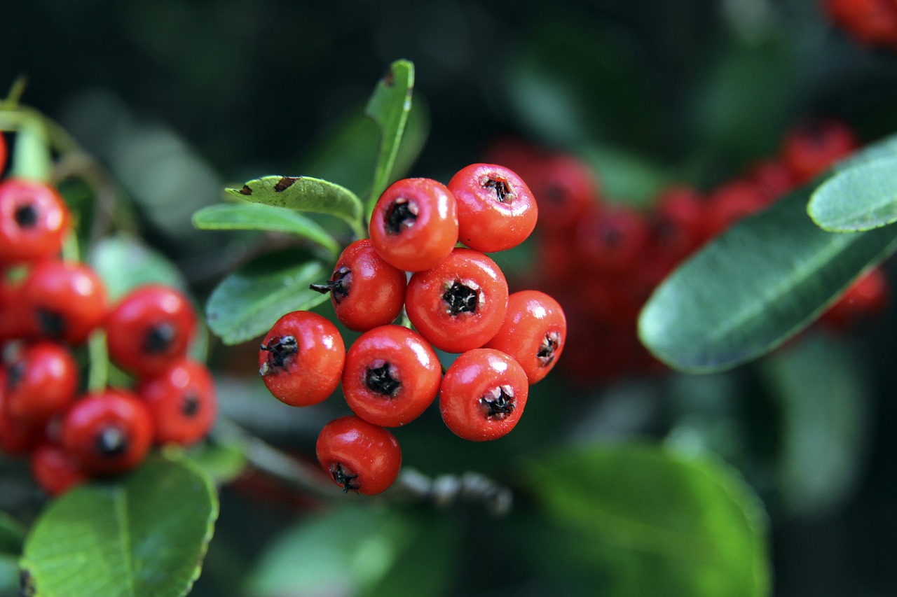 而姆巴佩则 而姆巴佩则