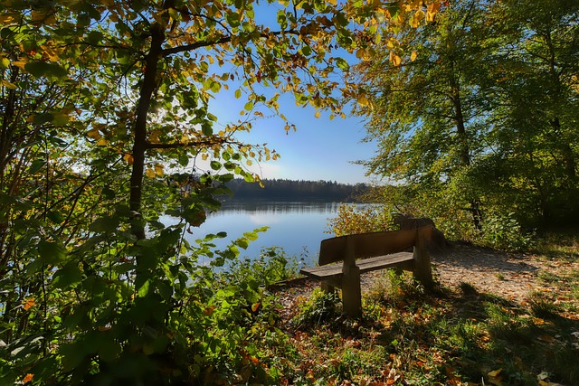 期的职业生 期的职业生