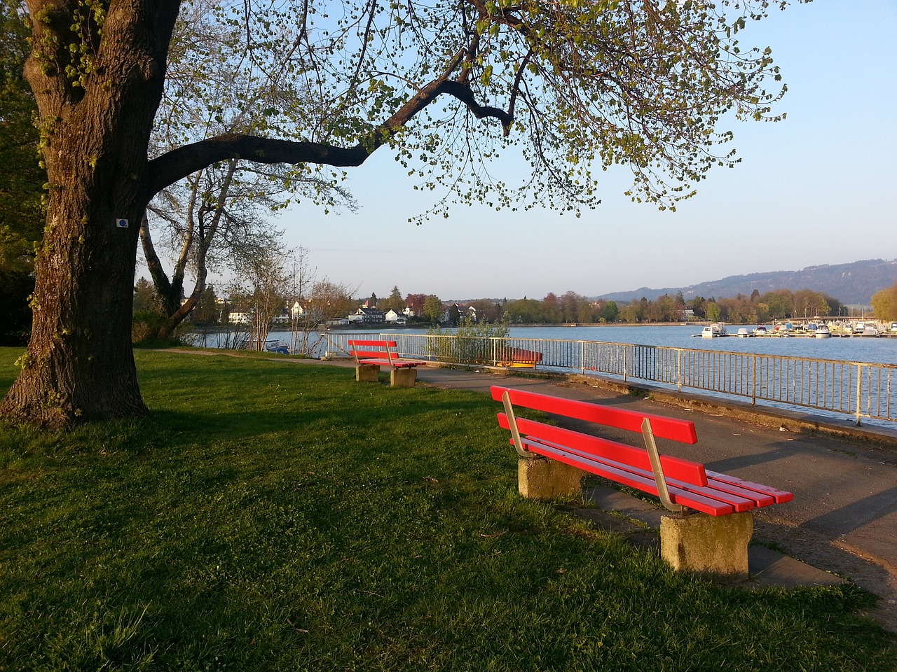 无论是参赛 无论是参赛