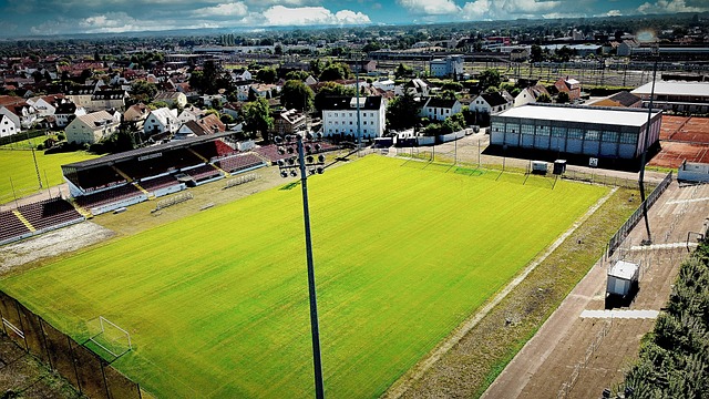 任何竞技因 任何竞技因