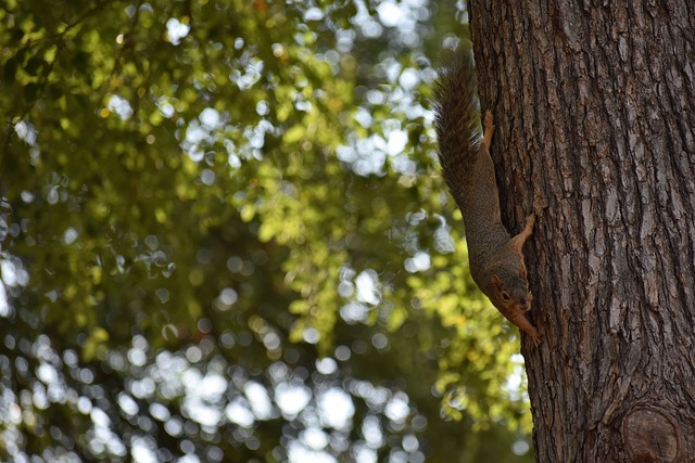 在他和詹姆 在他和詹姆