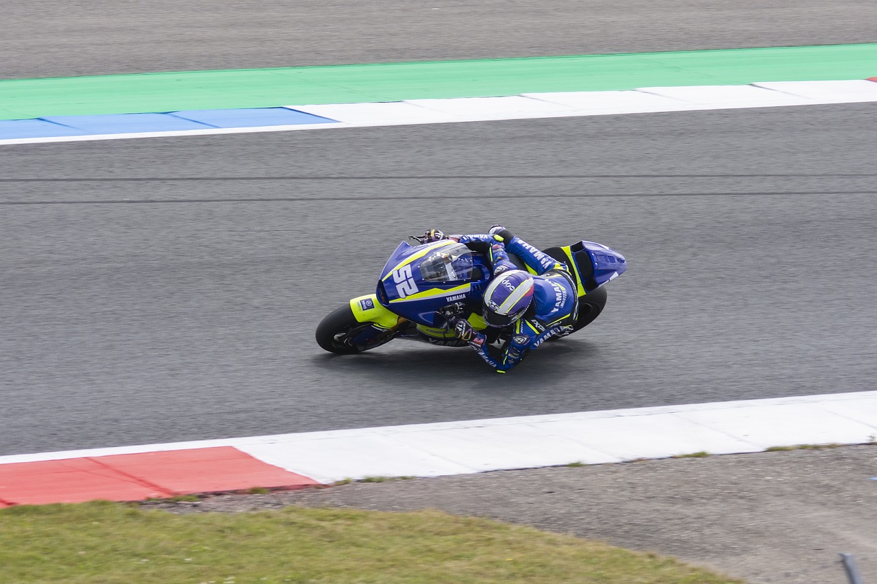 球迷和評論 球迷和評論